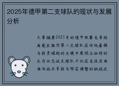 2025年德甲第二支球队的现状与发展分析