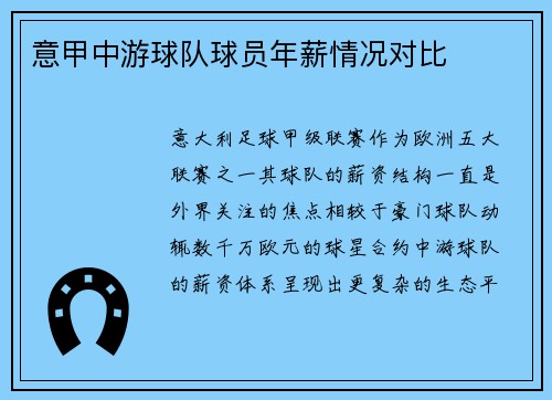 意甲中游球队球员年薪情况对比
